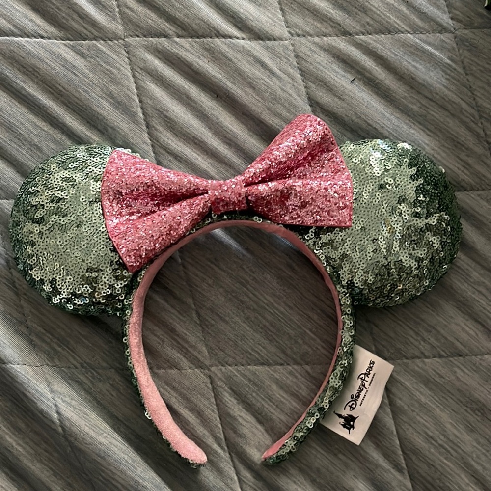 Never worn Disney resort ears